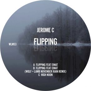 Download track Flipping Jerome. CEinat