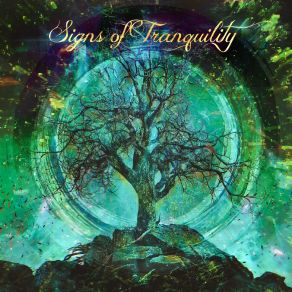 Download track Vivid Emotion Signs Of Tranquility