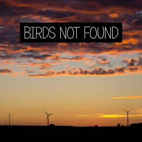 Download track Birds Not Found Fukurokudzu