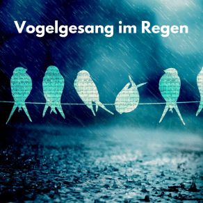 Download track Graue Tage, Bunte Vögel Vogelgezwitscher