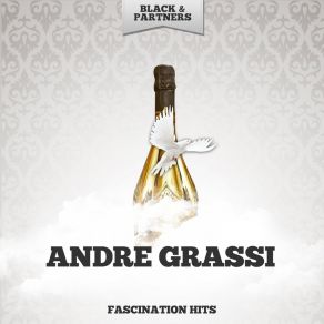 Download track Le Plus Joli Reve Andre Grassi