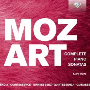 Download track Piano Sonata No. 4 In E-Flat Major, K. 282 I. Adagio Klara Wurtz