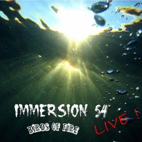 Download track Immersion 54 (Live) Birds Of Fire