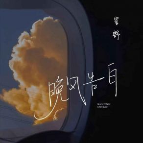 Download track 晚风告白 (DJ铁柱版) 星野