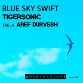 Download track Blue Sky Swifts (Original Mix) TigersonicAref Durvesh