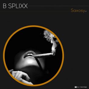 Download track Saxosy (Lee Trax And Nick De Voost Remix) B SplixxLee Trax, Nick De Voost