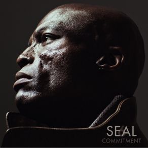 Download track If I'M Any Closer Seal