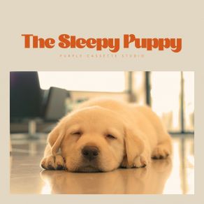 Download track Coconut Creaminess Sleep Dog