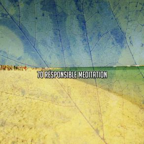 Download track Marvel In Meditation Spiritual Fitness Music