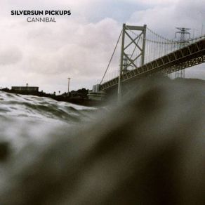 Download track Cannibal Silversun Pickups