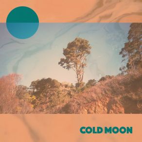 Download track Canary Cold Moon