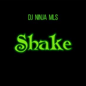 Download track Shake (Extendet Version) DJ Ninja MLS