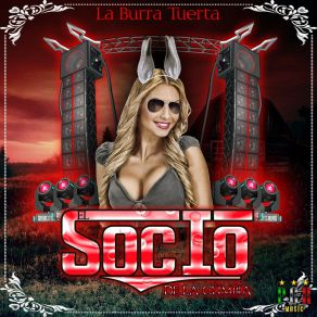 Download track Reo Ausente El Socio De La Cumbia