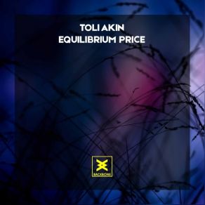 Download track Equilibrium Price Toli Akin