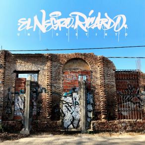 Download track Un Distinto (Elzombiflash Remix) El Negro Ricardo