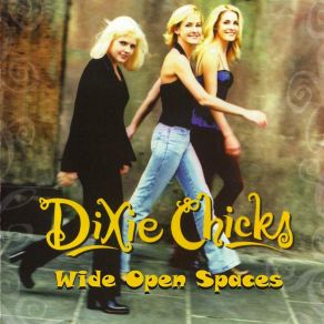 Download track Once You'Ve Loved Somebody Dixie Chicks