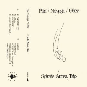 Download track 04 - Lisbon Story Part 1 Spiralis Aurea Trio