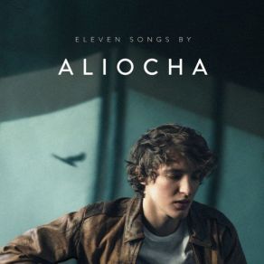 Download track The Start Aliocha