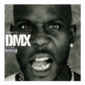 Download track Party Up (Up In Here) DMX