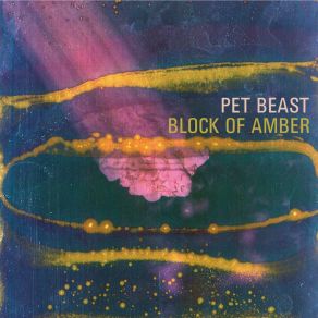 Download track The Hidden Song (Live) Pet Beast