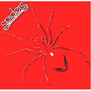 Download track Can It Be Far / Interpolating Running Round In Circles The Spiders From Mars, Pete McDonald