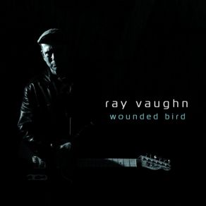 Download track Wounded Bird Ray Vaughn