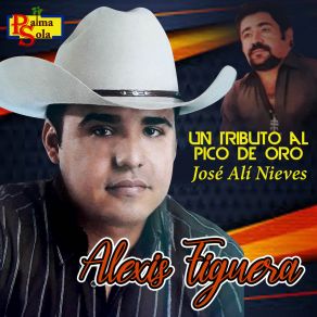 Download track Aquellos Tiempos Ayer Alexis Figuera