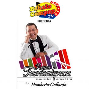 Download track Punta Y Tacon Reyna Tamaulipeca Marimba Orquesta De Humberto Gallardo
