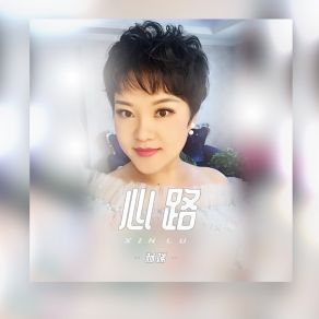 Download track 心路 (伴奏) Yang Di