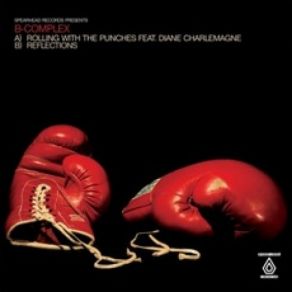 Download track Rolling With The Punches B - ComplexDiane Charlemagne