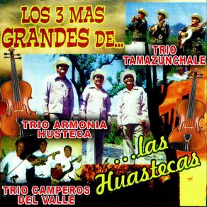 Download track Tomando Y Llorando Los Tres Mas Grandes De