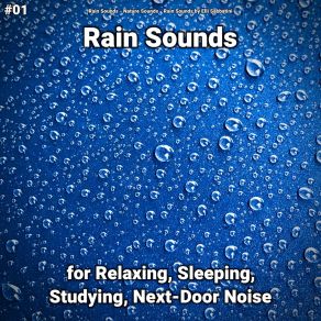 Download track Dreamlike Echoes Rain Sounds By Elli Sabbatini