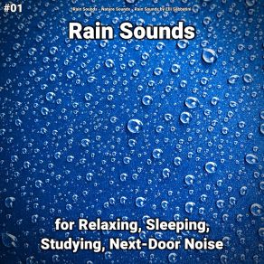 Download track Splashing Times Rain Sounds By Elli Sabbatini