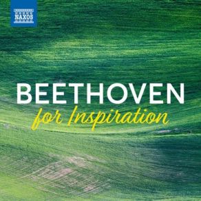 Download track Septet In E-Flat Major, Op. 20: V. Scherzo: Allegro Molto E Vivace Ludwig Van Beethoven, Takako Nishizaki, Jeno Jando, Kodály Quartet, Nicolaus Esterházy Sinfonia, Slovak Philharmonic Orchestra, Jenő Jandó, Béla Drahos, Kenneth JeanGyozo Mathe, Ildiko Hegyi, Istvan Toth, Jeno Kevehazi, Jozsef Balogh, Jozsef Vajda, Péter Szabó