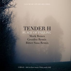 Download track Place Of Falling (Original Mix) Tender H