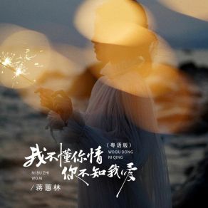 Download track 我不懂你情你不知我爱 (Djbanana粤语版 伴奏) 蒋蕙林Banan