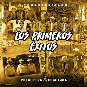 Download track Me Hace Llorar Tu Amor (2013) Trio Aurora Hidalguense