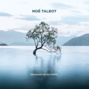 Download track Remercier Les Accidents Noé Talbot