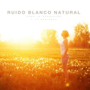 Download track Gran Lluvia (Relajante) El Ruido Blanco