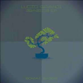 Download track Basic B Lucio Grandi