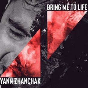 Download track Falling Down Yann Zhanchak