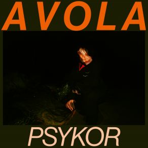 Download track Entry Level Bog (Saikor Remix) Avola