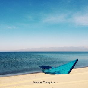 Download track Vibes Of Tranquility Ennry T