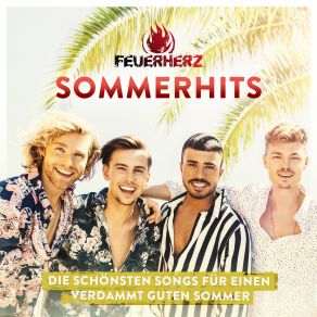 Download track Wer Kann Da Denn Schon Nein Sagen? Feuerherz