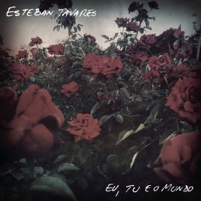 Download track Primeiro Avião Esteban Tavares