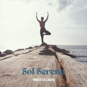 Download track Silencio Y Luz Meditacion