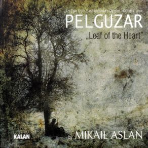 Download track Pelguzar Mikail Aslan