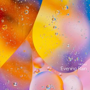 Download track Evening Rain VikiSoul