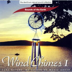 Download track Wind Chimes Part 2 David Sun