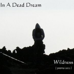 Download track IN A DEAD DREAM - LOST IN PAIN In A Dead Dream